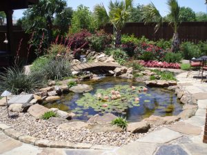 pond10
